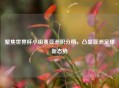 聚焦世界杯小组赛亚洲积分榜，凸显亚洲足球新态势