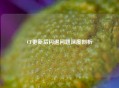 CF更新后闪退问题深度剖析