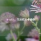 Bruh!Lol，生活欢乐小插曲