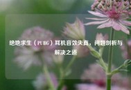 绝地求生（PUBG）耳机音效失真，问题剖析与解决之道