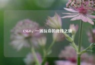 CSGO，一场玩命的竞技之旅