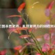 三国杀晋武将，乱世新势力的别样风采
