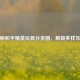 探秘和平精英玩具分类图，解锁多样乐趣