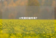 CF究竟归谁所有？
