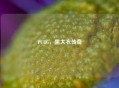 PUBG，黑大衣传奇