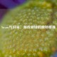 Steam与日呆，游戏领域的独特碰撞