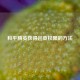 和平精英获得巡查权限的     