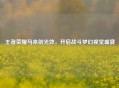 王者荣耀马来剑光效，开启战斗梦幻视觉盛宴