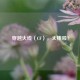 穿越火线（CF），太棒啦！