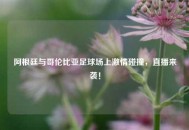 阿根廷与哥伦比亚足球场上***碰撞，直播来袭！