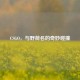 CSGO，与野荷名的奇妙碰撞