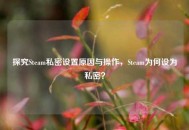 探究Steam私密设置原因与操作，Steam为何设为私密？