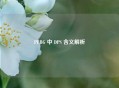 PUBG 中 DPS 含义解析