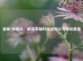 曼联7号图片,传奇荣耀的视觉印记与深刻寓意