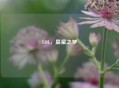 LOL，晨星之梦
