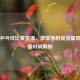 奥运乒乓球比赛直播，     梦想视觉盛宴及直播时间揭秘