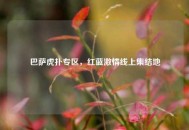 巴萨虎扑专区，红蓝***线上集结地