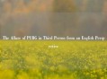 The Allure of PUBG in Third Person from an English Perspective
