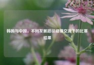 韩国与中国，不同发展路径碰撞交流下的比赛结果