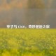 亭子与 CSGO，奇妙邂逅之旅