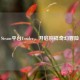 Steam平台Yonder，开启别样奇幻冒险