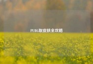 PUBG取皮肤全攻略