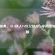 重温经典，NBA湖人VS热火回放G5中的     与荣耀