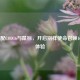 PS4搭配COD16与鼠标，开启别样使命召唤16游戏体验