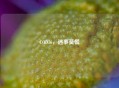 COD16，遇事莫慌