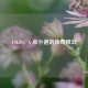 CSGO，A 点小道的传奇风云