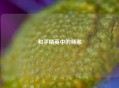 和平精英中的师弟