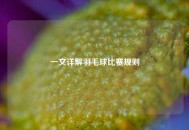 一文详解羽毛球比赛规则