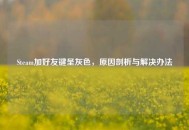 Steam加好友键呈灰色，原因剖析与解决办法