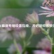 PUBG最新电脑设置指南，开启游戏极致体验
