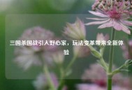 三国杀国战引入野心家，玩法变革带来全新体验