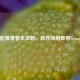 Steam配置查看全攻略，教你如何查看Steam配置