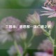 三国杀，感恩那一抹仁德之光