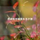 恳请和平精英永不下架