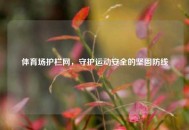 体育场护栏网，守护运动安全的坚固防线