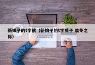 新娘子的t字裤（新娘子的t字裤子 临冬之际）