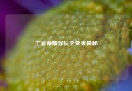 王者荣耀好玩之处大揭秘