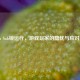 Steam Sub锁运行，游戏玩家的隐忧与应对之道