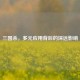 三国杀，多元应用背后的深远影响