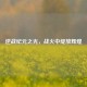 逆战纪元之光，战火中绽放辉煌