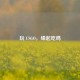 玩 CSGO，缘起吃鸡