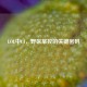 LOL中CJ，野区掌控的关键密码
