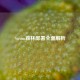 Steam森林部署全面解析