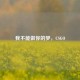 我不能做你的梦，CSGO