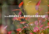 Steam游戏语言补丁，解锁多元语言游戏体验