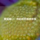 黄油版CF，开启别样游戏体验